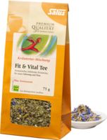 FIT & VITAL Tee Früchte-Kräutertee Bio Salus