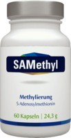SAMETHYL 200 mg S-Adenosylmethionin vegi Kapseln